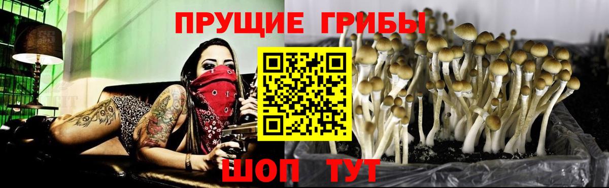 Кумертау  Псилоцибиновые грибы MAGIC MUSHROOMS  Вход с VPN  Псилоцибиновые грибы мицелий 